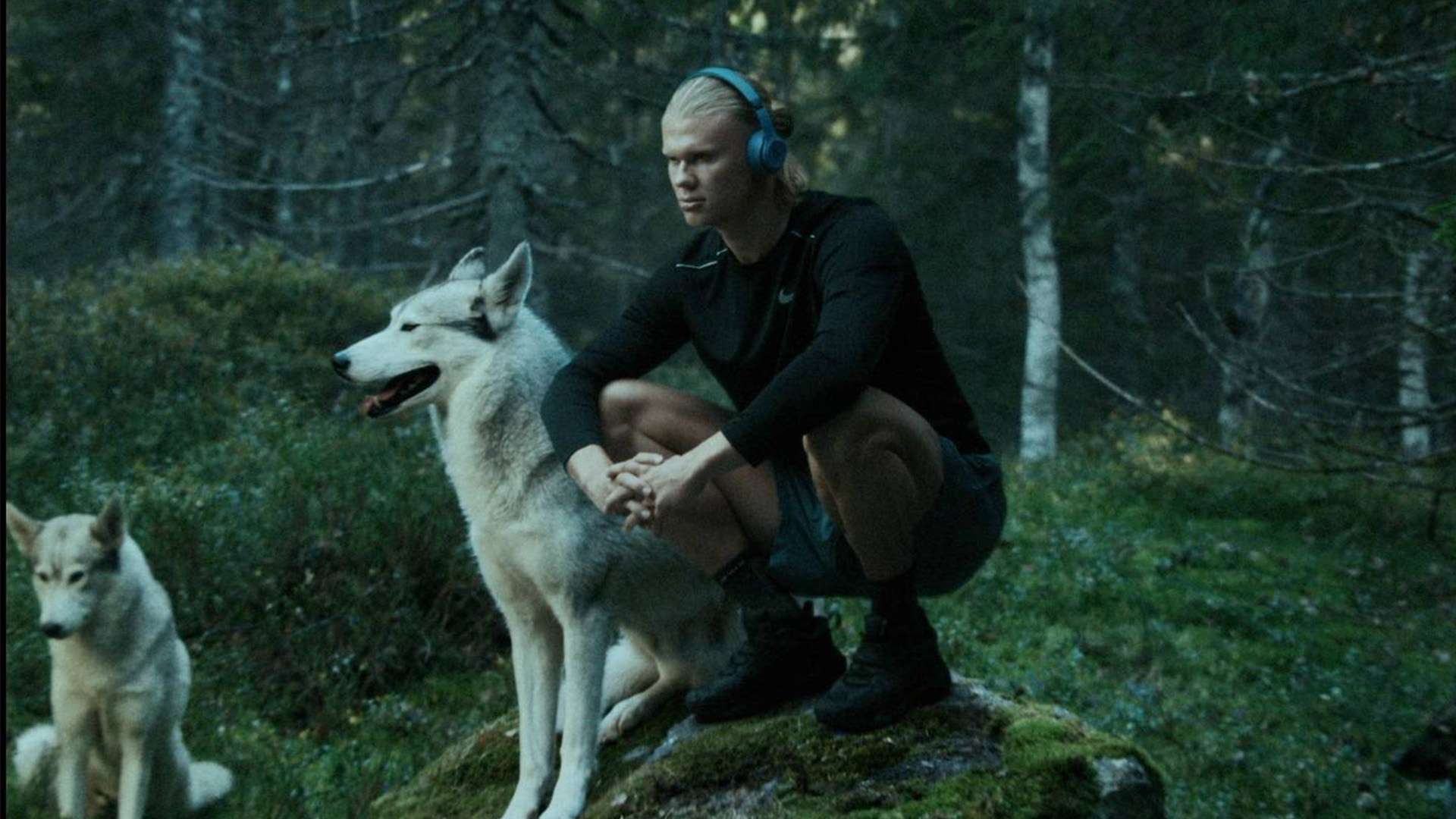 旅程的强队 旅程的强队