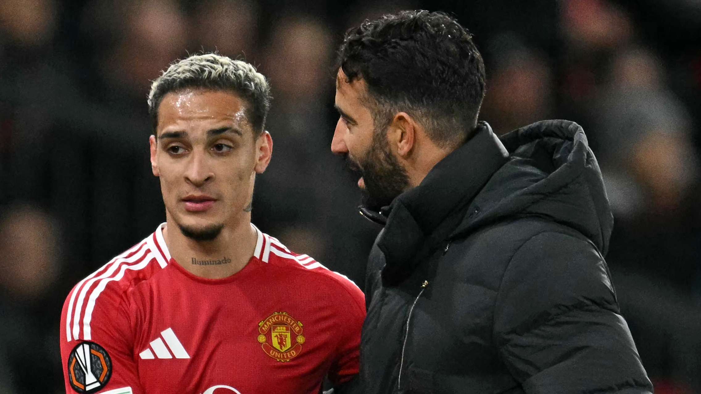 亚带来一系 亚带来一系